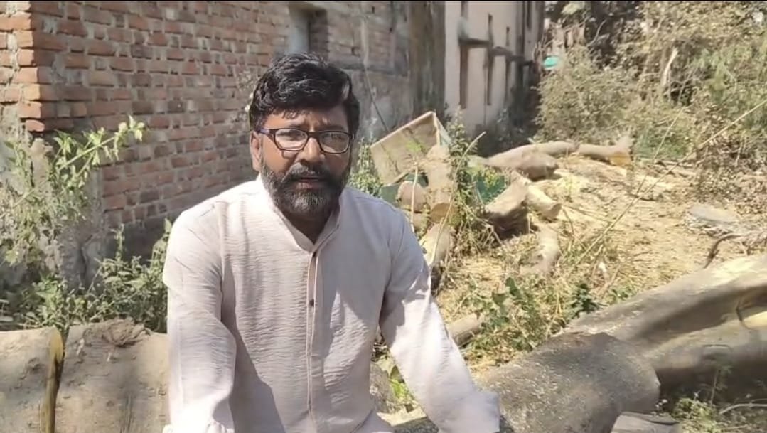 मलकापुरात झाडांची ‘कत्तल’ करणाऱ्यांना प्रशासनाचे अभय?