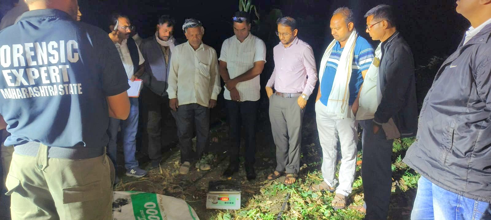 वांग्याच्या पिकात लपवलेली ९ लाखांची अफू जप्त