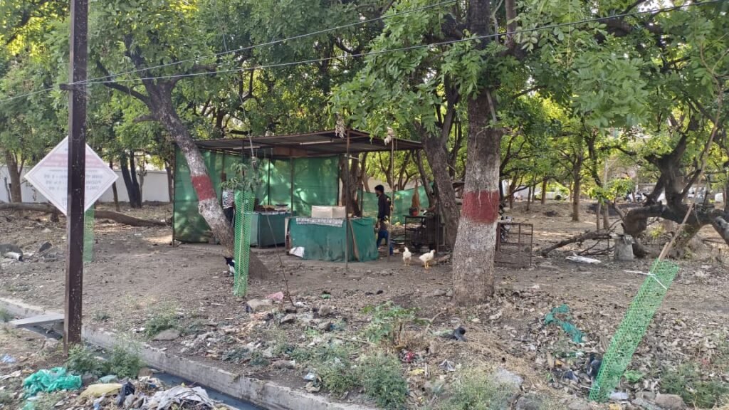 जिल्हाधिकाऱ्यांच्या आदेशाला केराची टोपली; महावीर जयंतीदिनी मटण विक्री करणाऱ्यावर पोलिसांची मोठी कारवाई!